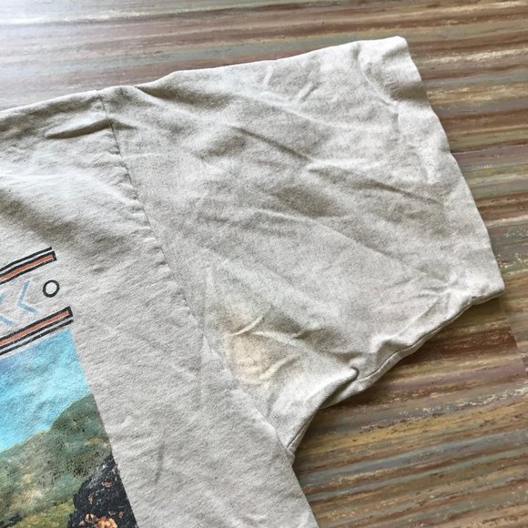 Grand Canyon Souvenir T-shirt Vintage 90s Single Stitch Distressed Top - Picture 3 of 10
